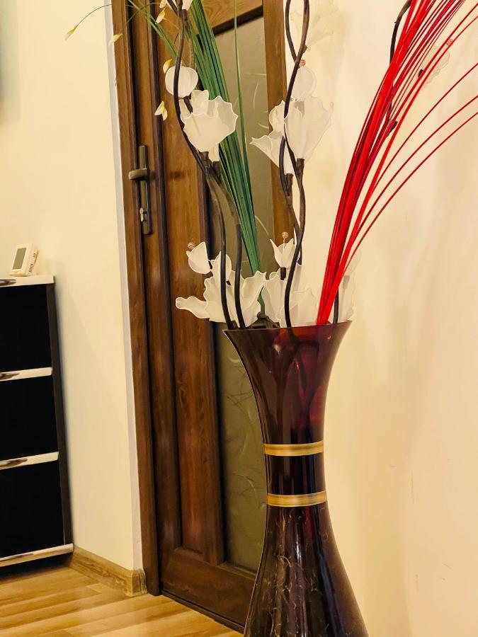 Casa Iris Διαμέρισμα Ιάσιο Εξωτερικό φωτογραφία