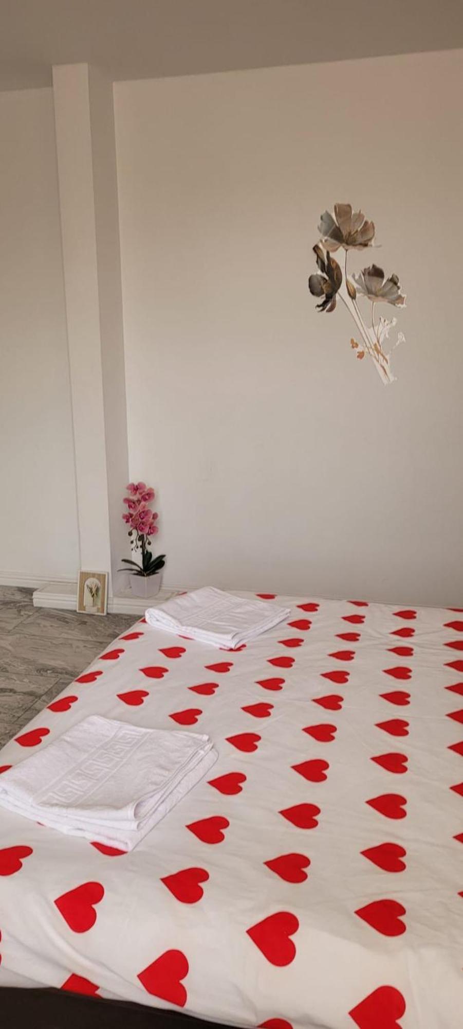 Casa Iris Διαμέρισμα Ιάσιο Εξωτερικό φωτογραφία